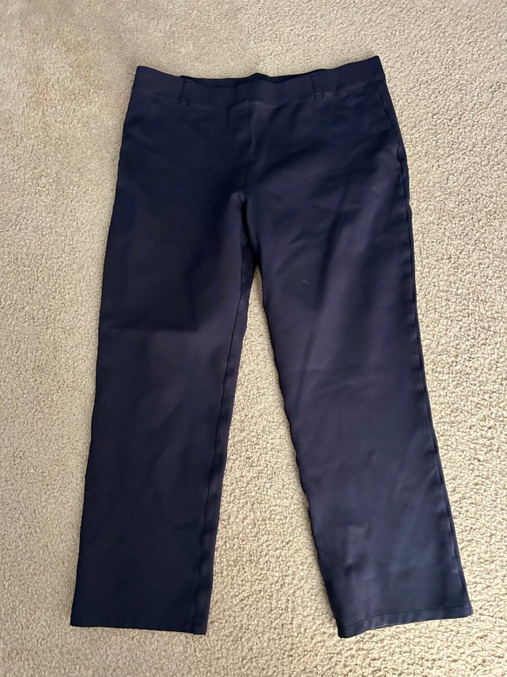 Quince Navy Sz XL Petite Ultra Stretch Ponte Straight Leg Pant Women